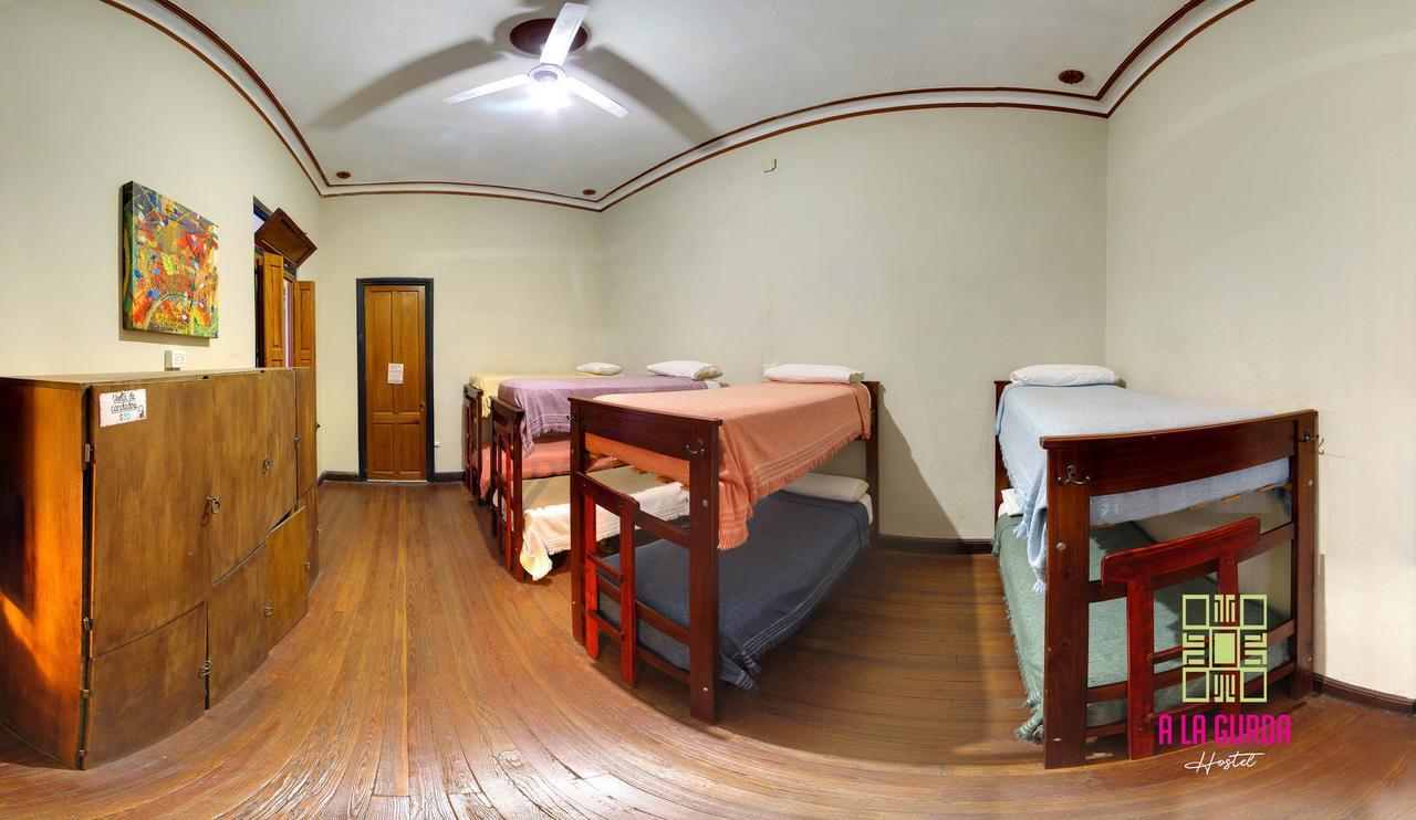 A La Gurda Hostel Сан-Мігель-де-Тукуман Екстер'єр фото
